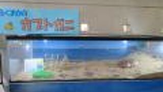 ペイペイドームの近くです