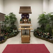 写真撮っていいのか悩んじゃった