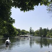 ほのぼの公園、井の頭公園もいい