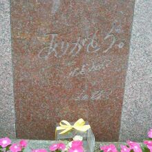 やり残したことがいろいろあったと思いますが、感謝の言葉です。