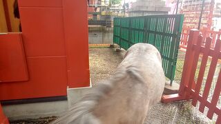 神馬「あかりちゃん」