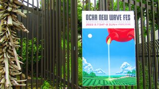 Ocha ニューウェイヴ フェス