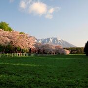 広大な農場で入場料が必要です