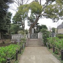 桂太郎墓