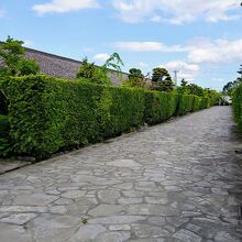 石畳の両側に槙の生垣を巡らした武家屋敷