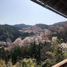 朝日館