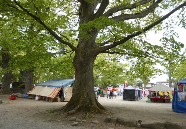 薬師祭植木市が開かれていました