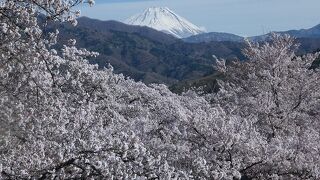 大法師公園