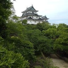 南東側から見たところ