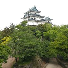 南東側から見たところ