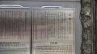 植木屋さんが作業中でした。