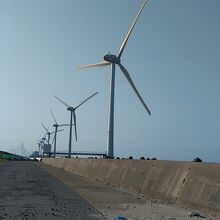 風車を間近で見る事が出来ます。大きいっ！！