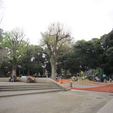 ２遊具広場で遊ぶ子供たち