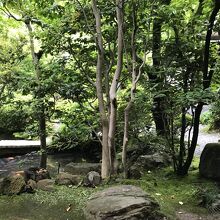 個室から眺められる庭