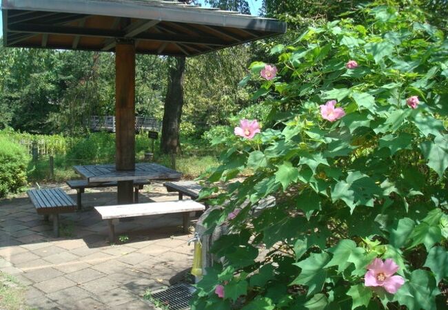 今泉名水桜公園に10分程滞在