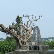 沖縄陸軍病院勤務の関係者をお祀りする