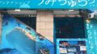 美ら海水族館アンテナショップ