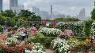 昔船着き場があったところ