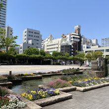 横須賀市役所の真向かいにある公園