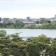 徳川斉昭も愛でた