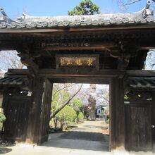 ３山門からの桜