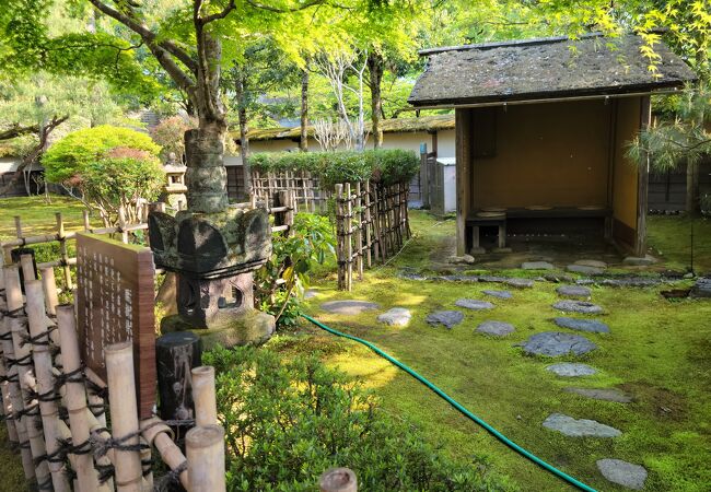 鶴ヶ城大茶会