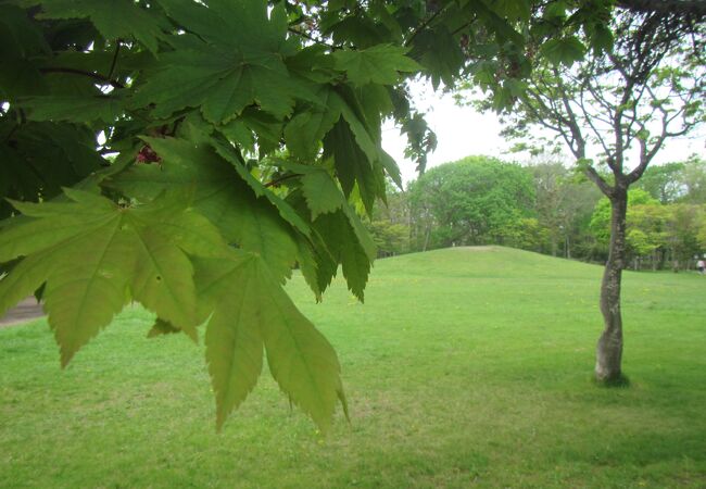 若葉公園