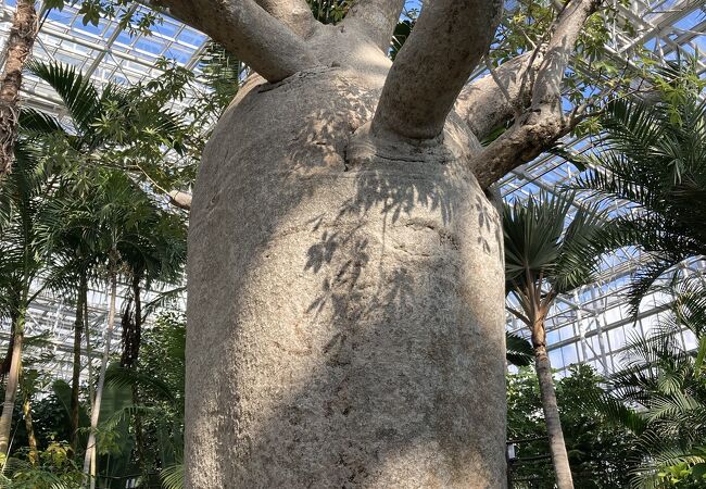 広島市植物公園