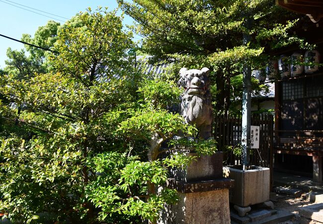 京街道の枚方宿にある梅林