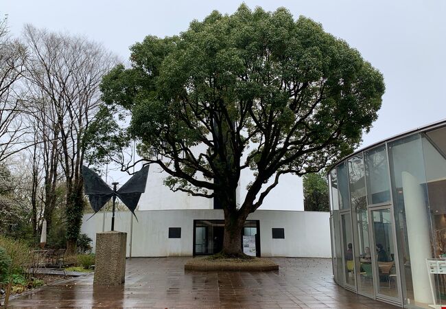ベルナール ビュフェ美術館 クチコミ アクセス 営業時間 裾野 長泉 フォートラベル