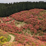 ５月に訪問し、ツツジがとてもきれいでした。