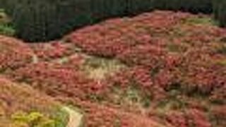 ５月に訪問し、ツツジがとてもきれいでした。