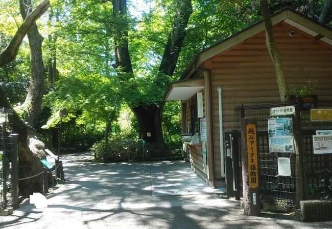 越谷アリタキ植物園