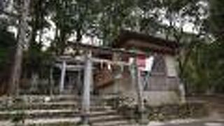 ご利益の兆しは見えず