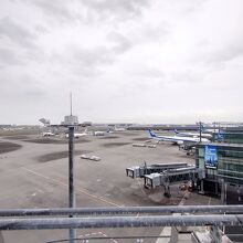 飛行機はテンション上がる