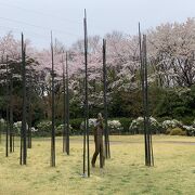 屋外展示と桜