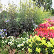 季節の花がいっぱい