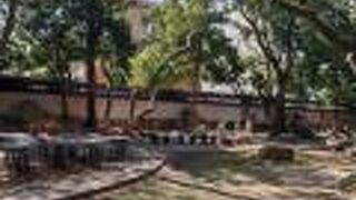 季節ものですので