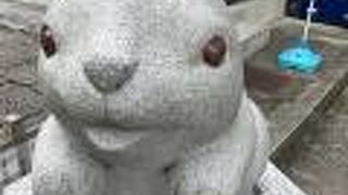 うさぎ が 可愛い「岡崎神社」 へ再び…