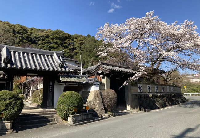 桜と紅葉が美しい寺