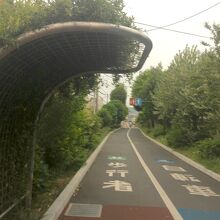 植物に覆われたパーゴラ