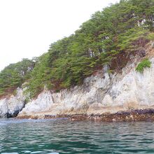 摂理が観察できる流紋岩