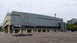 ドルフィンズアリーナ