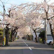 信号付近がおすすめ