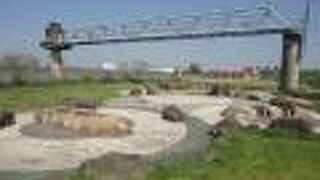 バーベキュー広場がある