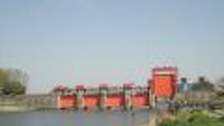 水門の先には小さな島の公園