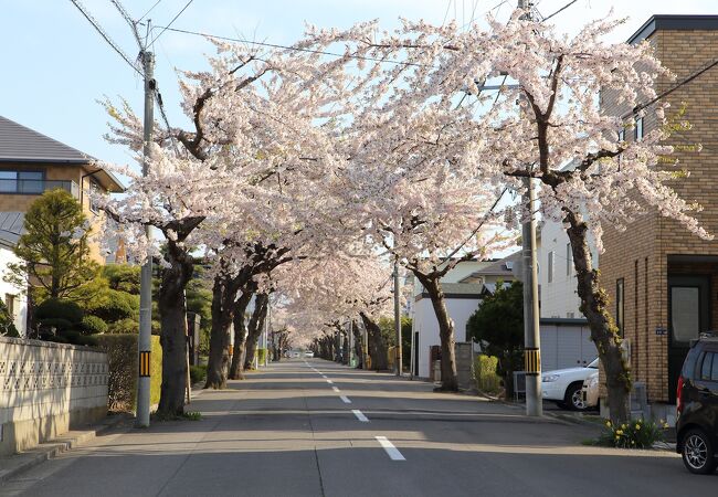 信号付近がおすすめ