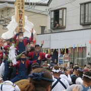 諏訪大社式年造営御柱大祭 クチコミ・アクセス・営業時間|茅野 諏訪大社式年造営御柱大祭 クチコミ・アクセス・営業時間|茅野
