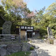 大分県の天然記念物地獄