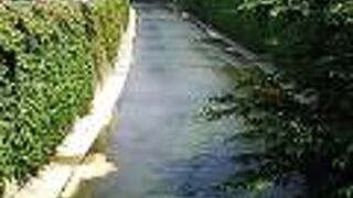 平日の日中に、高田馬場界隈で神田川沿いを歩く機会がありました